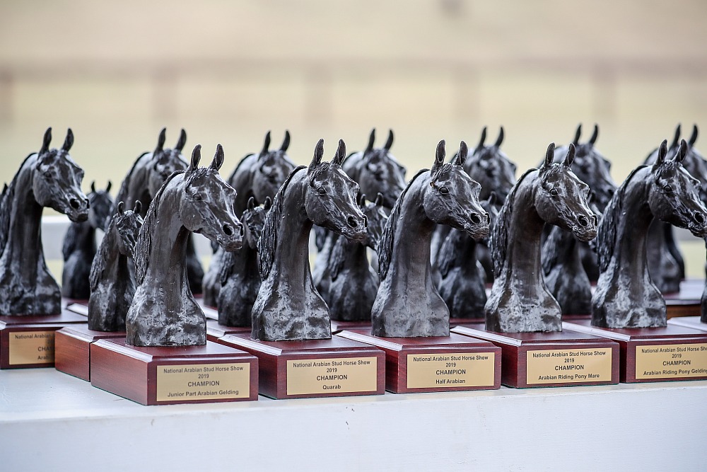 National Arabian Stud Horse Show 2019
