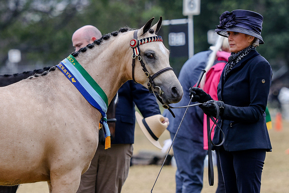 Hawkesbury Winter Show 2025
